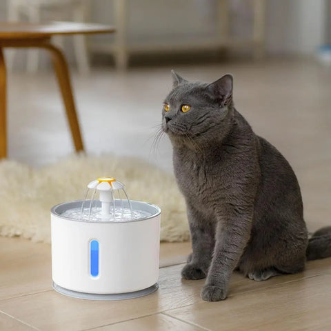 Automatic Pet Cat Water Fountain with LED Lighting, 5 Pack Filters, 2.4L USB, Dogs Cats Mute Drinker Feeder Bowl Drinking Dispenser