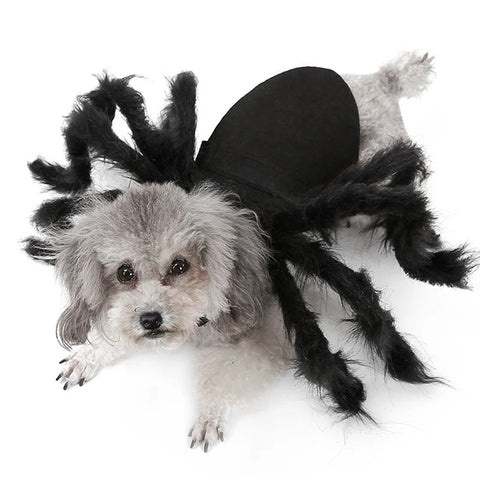 Halloween Pet Spider Clothes  Simulation Black Spider Puppy Cosplay Costume For Dogs Cats Party Cosplay Funny Outfit