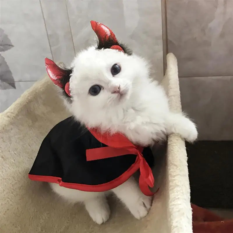 Halloween Pet Costumes Cute Cosplay Vampire Cloak Cat Dog Cap With Horns Kitten Puppy Cape Kawaii Pet Clothes Dog Accessoties