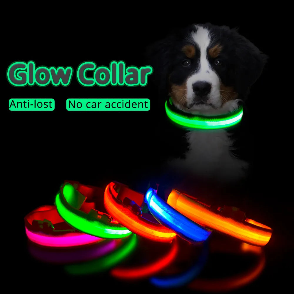 USB Charging/Battery replacement Led Dog Collar Anti-Lost Collar For Dogs Puppies Dog Collars Leads LED Supplies Pet Products