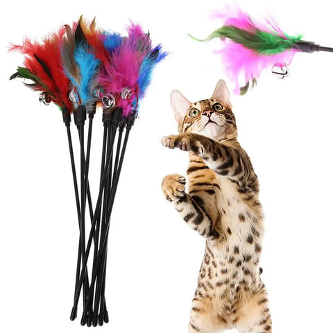 5pcs Funny Kitten Cat Teaser Interactive Toy Rod with Bell and Feather Toys For Pet Cats Stick Wire Chaser Wand Toy Random Color