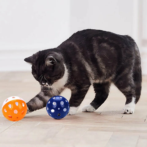 6pcs Toys for Cats Ball with Bell Playing Chew Rattle Scratch Plastic Ball Interactive Cat Training Toys Cat Toy Pet Supplies