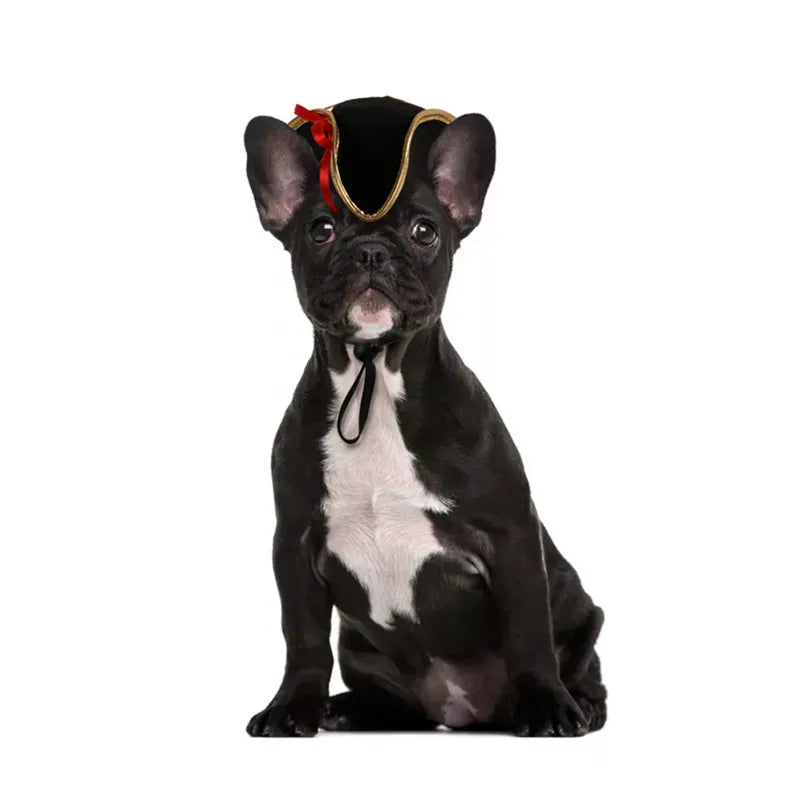 Pet Cat Dog Cap Funny Halloween Pet Product For Photography Cosplay Police Hat Holiday Costume Chihuahua Yorkshire Accessories