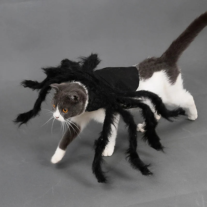 Halloween Pet Spider Clothes  Simulation Black Spider Puppy Cosplay Costume For Dogs Cats Party Cosplay Funny Outfit