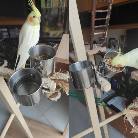 Stainless Steel Cage Stand Double Cups with Clip Bird Parrot Double Food Water Feeding Cups Dispenser Durable Pet Cage Supplies