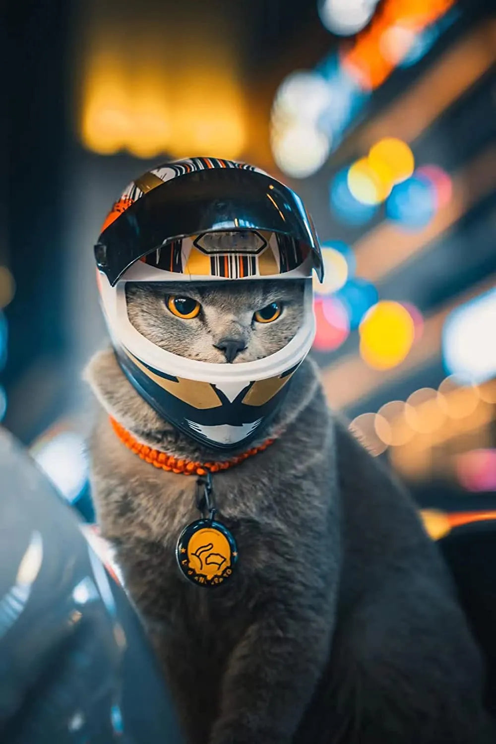 Pet Motorcycle Helmet,Full Face Motorcycle Helmet Outdoor Motorcycle Bike Riding Helmet Hat for Cat Puppy Helmet Pet Supplies