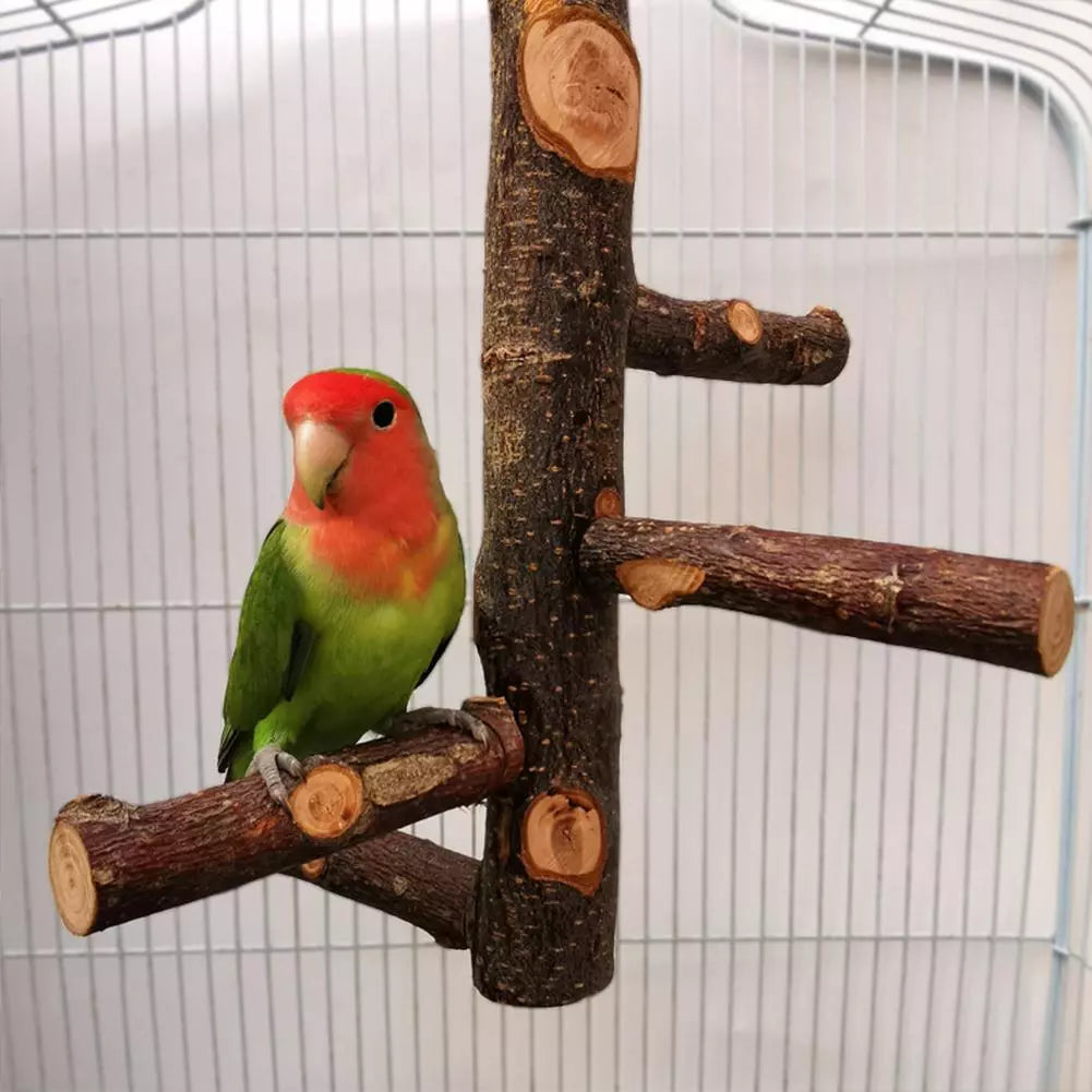 Pet Parrot Stand Solid Wood Standing Stick Pole Biting Molar Claw Grinding Toy Parakeet Hamster Branch Perches Bird Cage Supplie