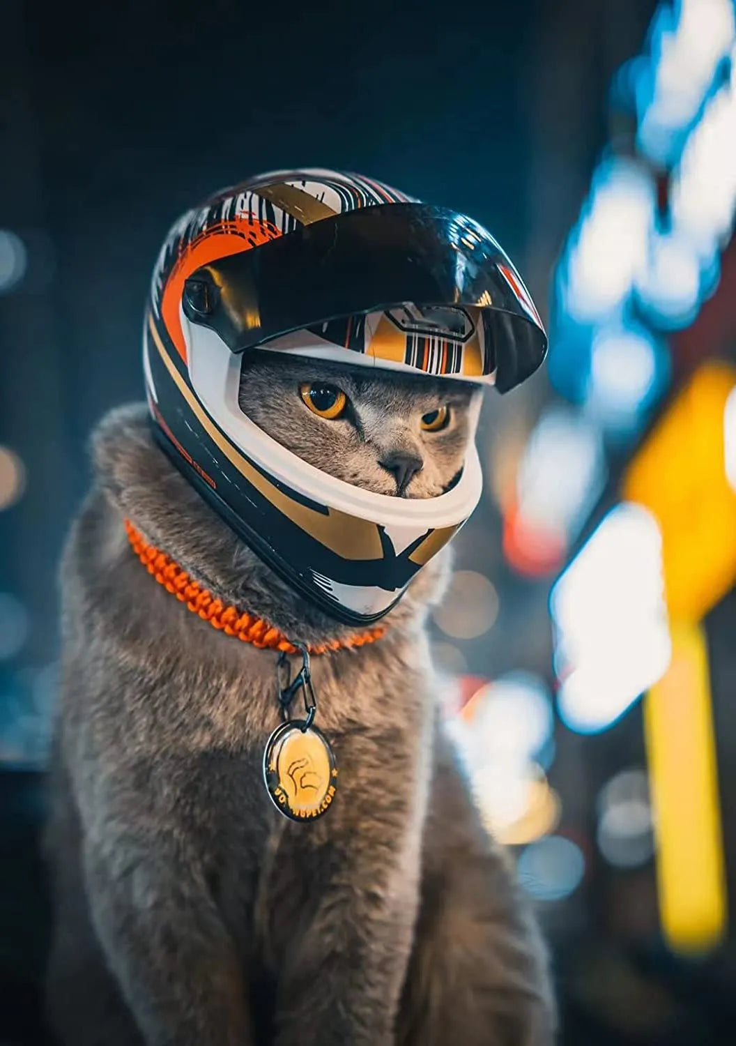 Pet Motorcycle Helmet,Full Face Motorcycle Helmet Outdoor Motorcycle Bike Riding Helmet Hat for Cat Puppy Helmet Pet Supplies