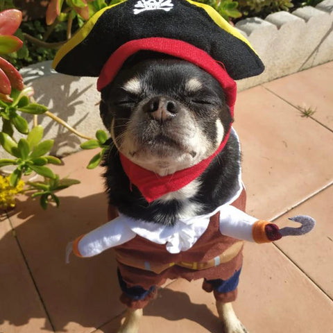 Funny Halloween Pet Dog Costumes Pirate Suit Cosplay Clothes For Small Medium Dogs Cats Chihuahua Puppy Clothing Pet Products