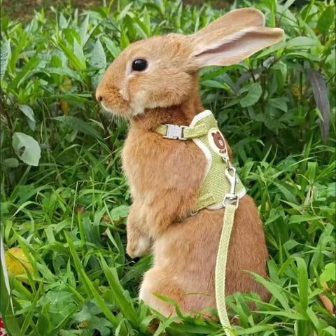 Newest Cute Rabbit Harness and Leash Set Bunny Pet Accessories Vest Harnesses Rabbit Leashes for Outdoor Walking Pets Supplies
