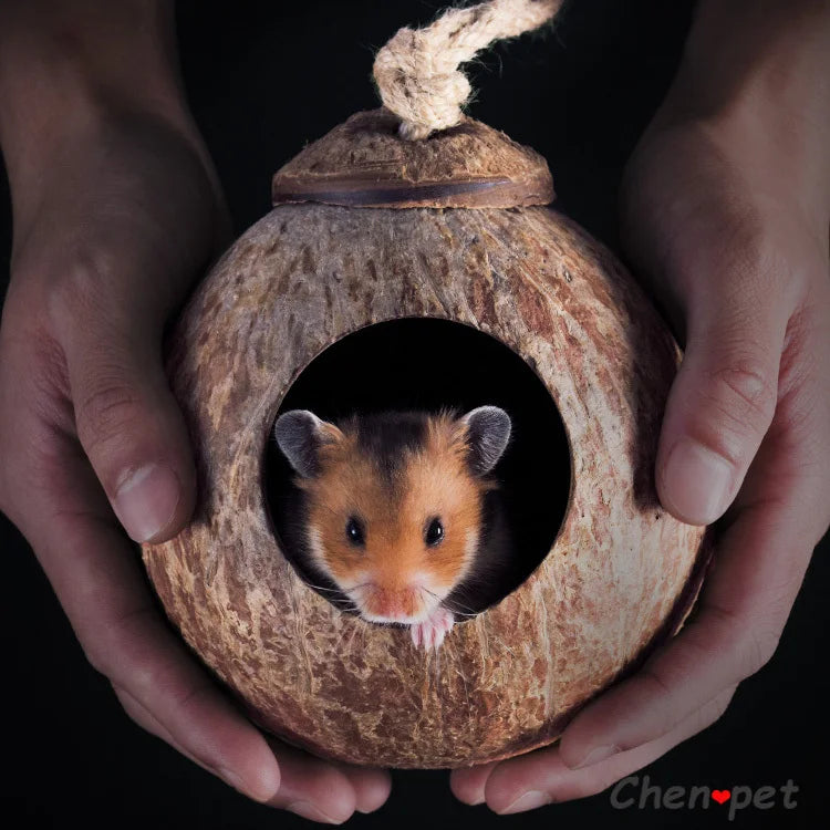 Natural Small Pet Coconut Cages Pet Cage for Hamster Guinea Pig Mice Squirrel Wooden House for Rat Rodent Small Animal Nest