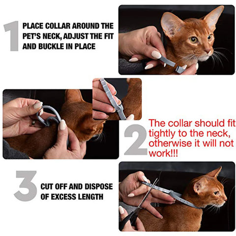 Adjustable Dog & Cat Collar Flea & Tick Prevention Pet Collar Pest Control Protect Rubber Flea Killer Collar Pet Cat Accessories