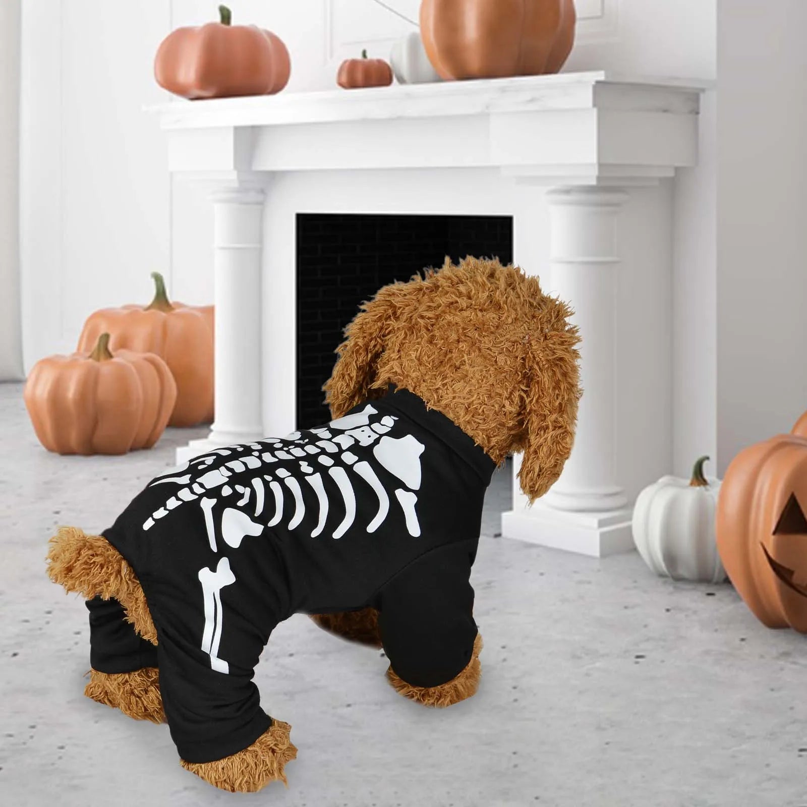 Halloween Skeleton Dog Costume Decorative Pet Clothes Pet Halloween Costume for Festival Puppy Kitten Holiday Party Dogs Cats