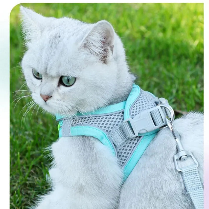 Escape Proof Cat Harness and Leash Set Adjustable Mesh Dog Harness Vest Puppy Pet Walking Lead Leash Small Dogs Cats Kitten XXS