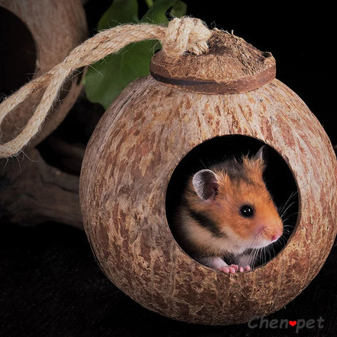 Natural Small Pet Coconut Cages Pet Cage for Hamster Guinea Pig Mice Squirrel Wooden House for Rat Rodent Small Animal Nest