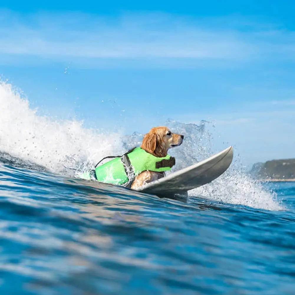 Shine Bright, Swim Safe: High-Visibility Dog Life Jacket with Rescue Handle