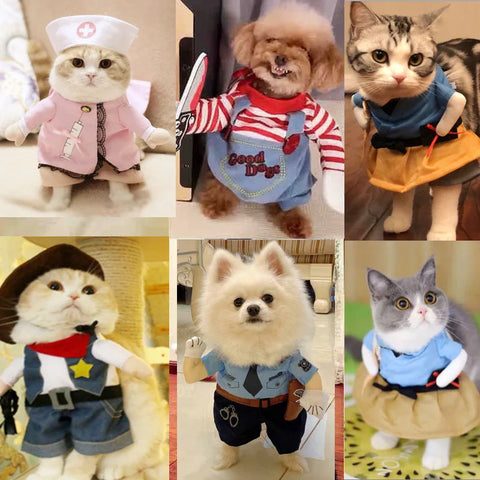 Spring Autumn Pet Cat Costumes for Small Dogs Cute Funny Clothes Standing Transformed Three-dimensional Dog Halloween