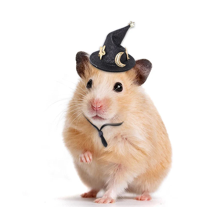 Mini Witch Hat for Small Animals Adjustable Pet Headgear Hamster Rat Hats Halloween Cosplay Clothing guinea pigs assessories