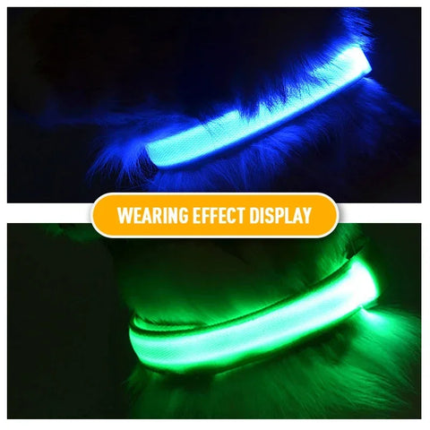 USB Charging LED Dog Collar Dog Safety Night Light Flashing Necklace Fluorescent Collars Pet Supplies