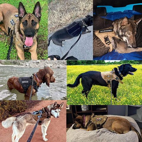 Large Dog Harness And Leash Set Pet German Shepherd Malinois Training Walking Vest Dog Harness And Collar Set For All Breeds Dog