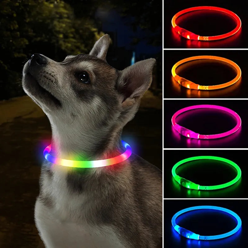 Led Dog Collar Luminous Usb Cat Dog Collar 3 Modes Led Light Glowing Loss Prevention LED Collar For Dogs Pet Dog Accessories