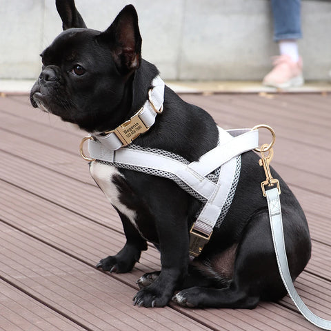 Customized Leather Dog Collar Harness Leash Set Personalized Pet Mesh Vest Harness ID Pet Leads For Small Medium Large Dogs