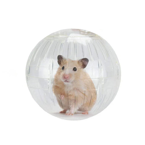 Hamster Treadmill Plastic Round Ball Toy for Hamsters Rats Little Animals Pet Running Sporting Supplies accesorios hamster ruso