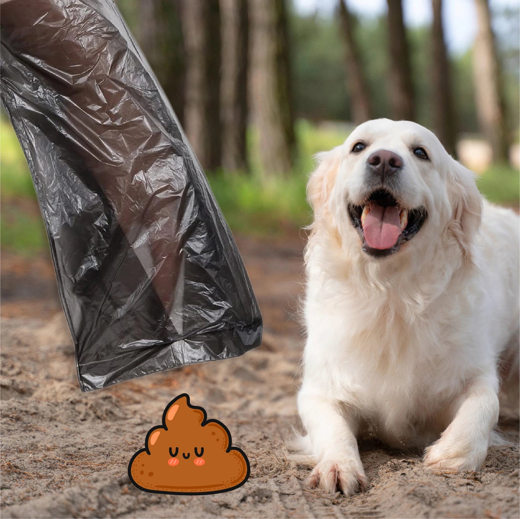 Yommy good brand dog poop bags 150/300/600/900/1200/1500 multi-colored poop bag pet dog bag